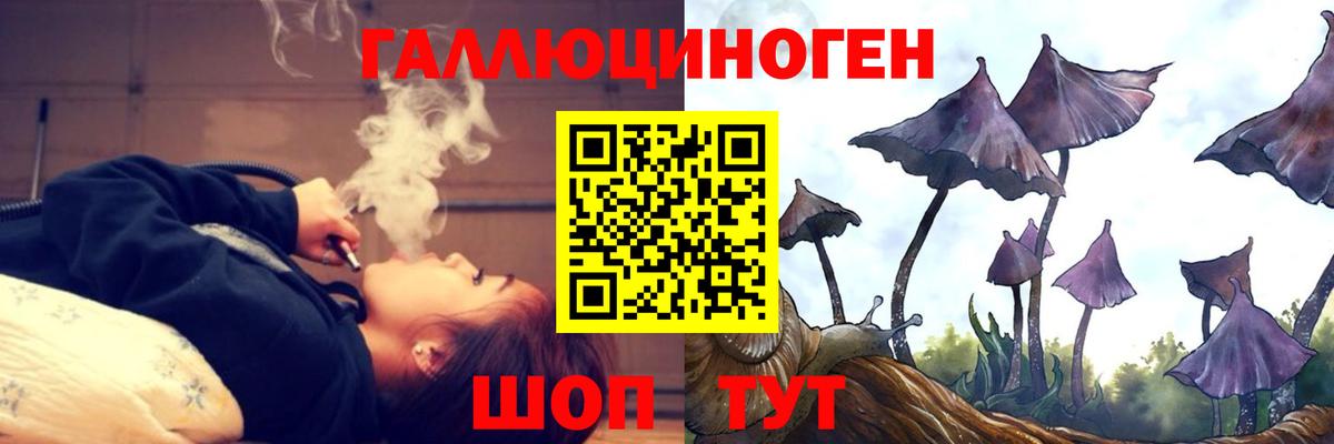 Псилоцибиновые грибы Psilocybe Муравленко